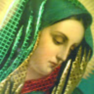 Meet your Posher, Andualem